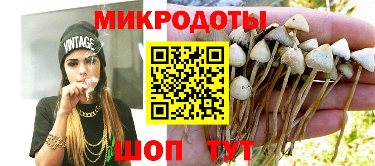 Псилоцибиновые грибы GOLDEN TEACHER  Галлюциногенные грибы MAGIC MUSHROOMS  Вход с VPN  Янаул 